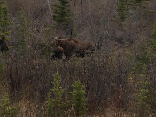 e87c6c31-71be-4414-ad82-8aeffc320a30