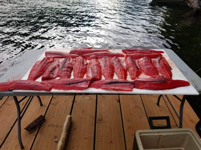 received_10213651461872041