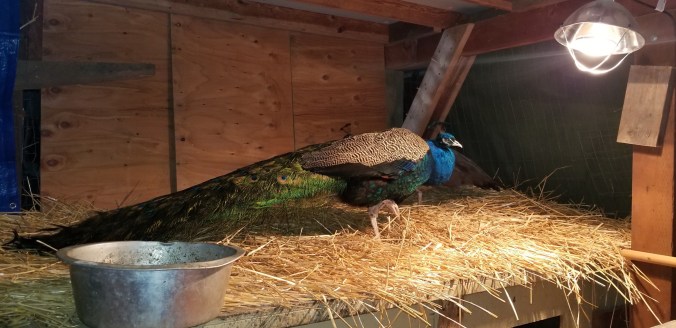 04ed957c-c0fd-4fac-83dc-2760fe38f9ea