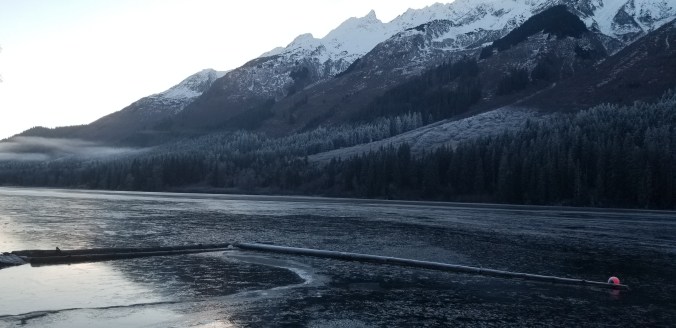 3759f1df-fbd2-4181-8d61-d53ef1ff24cd