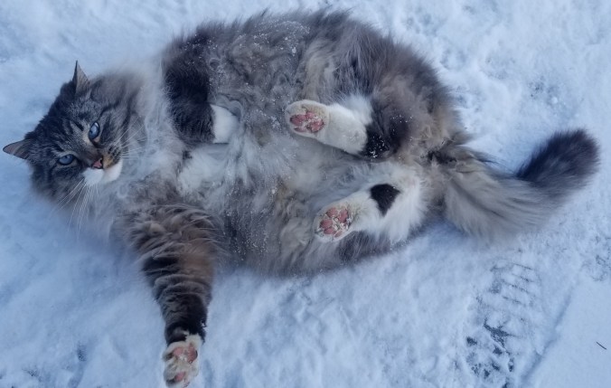 bc4a8ac4-f623-4452-9223-732af279c866